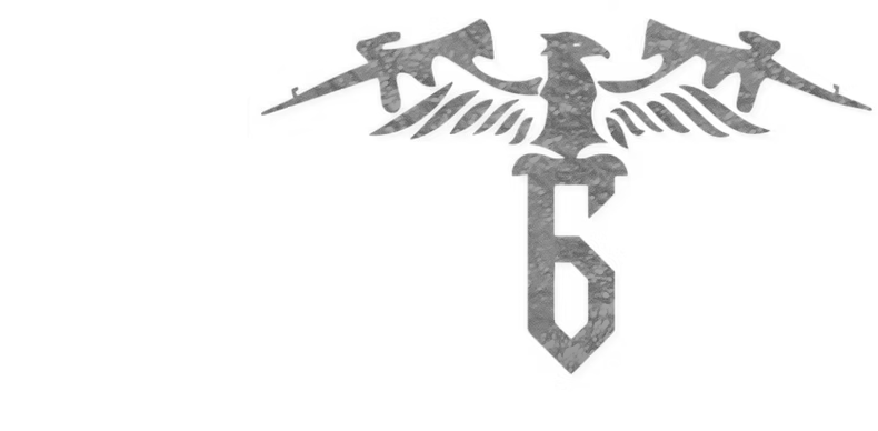 The IGY6; Foundation